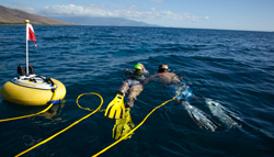 Sea Breathe the Electric Snorkel